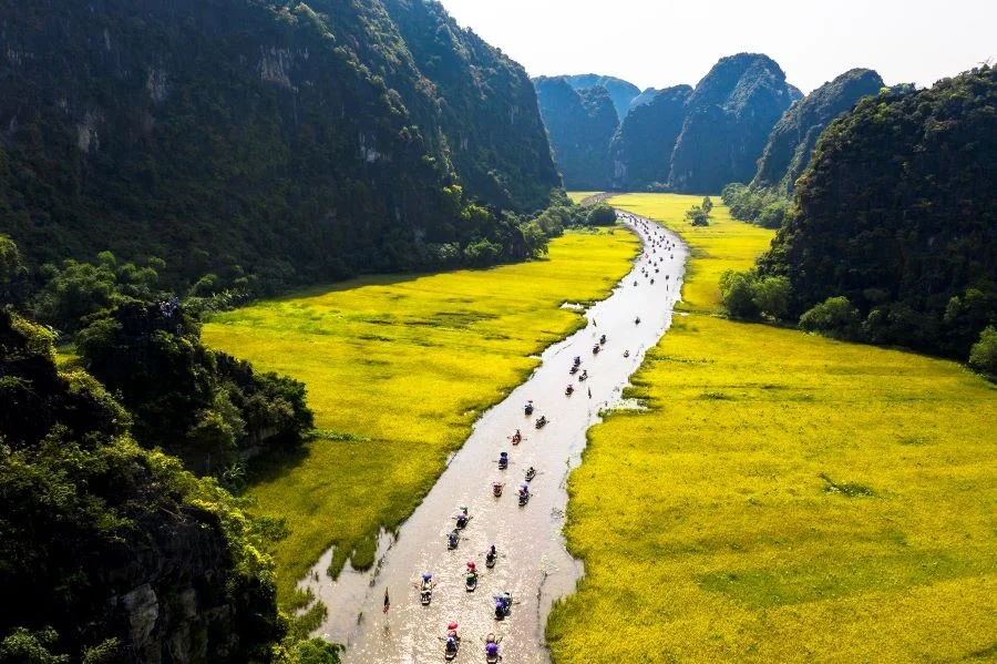 Tam cốc - Một trong những địa điểm ngắm mùa lúa chín đẹp nhất không thể bỏ lỡ khi đi du lịch Miền Bắc