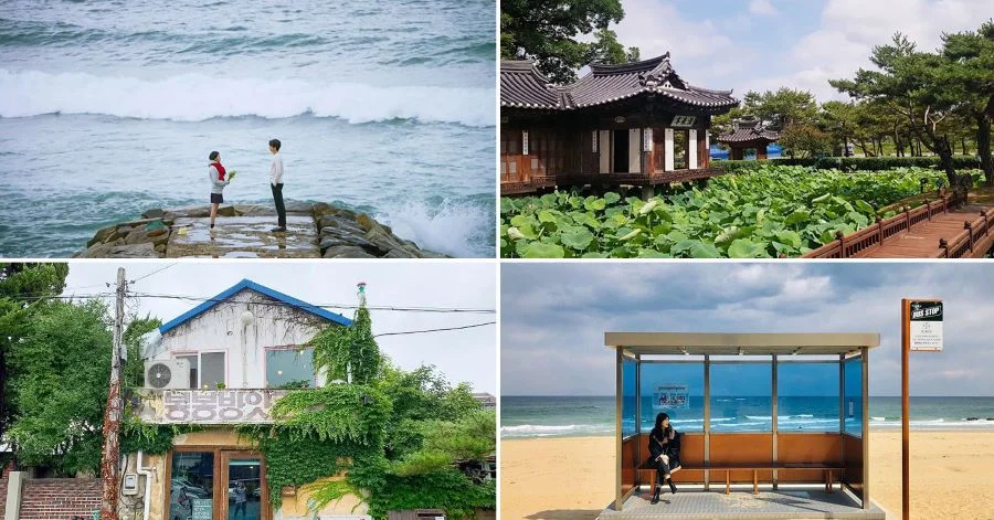 Đặt chân đến những địa điểm quay phim K-drama là ước mơ của nhiều mọt phim Hàn Quốc 