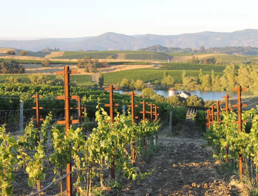 Napa Valley là nơi lý tưởng để thư giãn và tận hưởng ẩm thực tinh tế