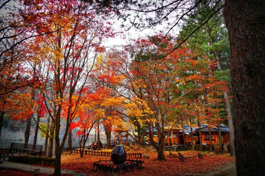 Công viên Seoul Grand như một ốc đảo xanh mát, là nơi lý tưởng để bạn trốn khỏi sự ồn ào của thành phố