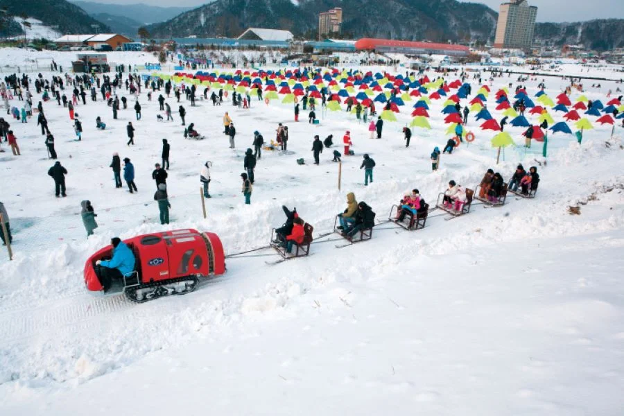 Lễ hội cá hồi Pyeongchang - lễ hội mùa đông nổi tiếng du khách không nên bỏ qua