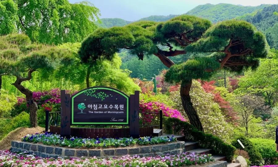 Morning Calm - khu vườn tư nhân có lịch sử lâu đời nhất tại Hàn Quốc