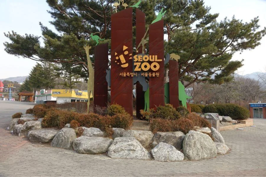 Seoul Grand Park không chỉ là một nơi để thư giãn, vui chơi mà còn là một bảo tàng sống động về thiên nhiên và động vật