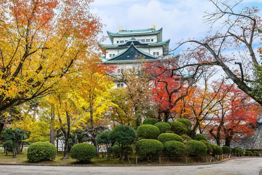 Khi thu sang, Nagoya khoác lên mình tấm áo mới rực rỡ sắc vàng, cam và đỏ của những tán lá phong khắp mọi nơi