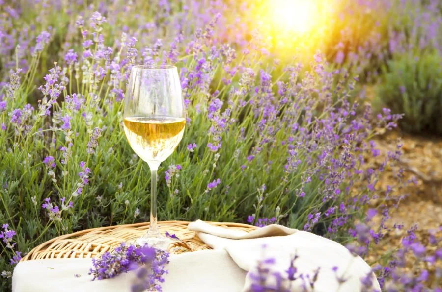 Dừng chân tại Provence, du khách đừng quên trải nghiệm nền văn hóa rượu đặc sắc nhé