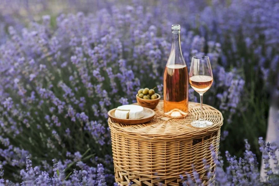 Khung cảnh thật chill tại cánh đồng hoa oải hương