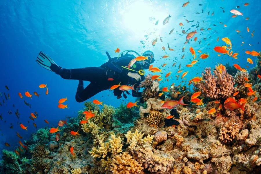 Đến Bali du khách có thể trải nghiệm nhiều hoạt động vui chơi thú vị