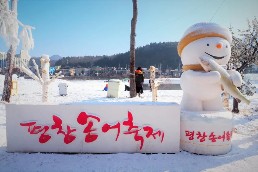 Khi nhắc đến các lễ hội mùa đông tại Busan thì làm sao có thể bỏ qua Lễ hội cá hồi Pyeongchang