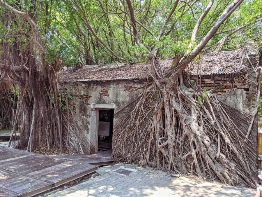 Một tuyệt tác kỳ diệu của thiên nhiên
