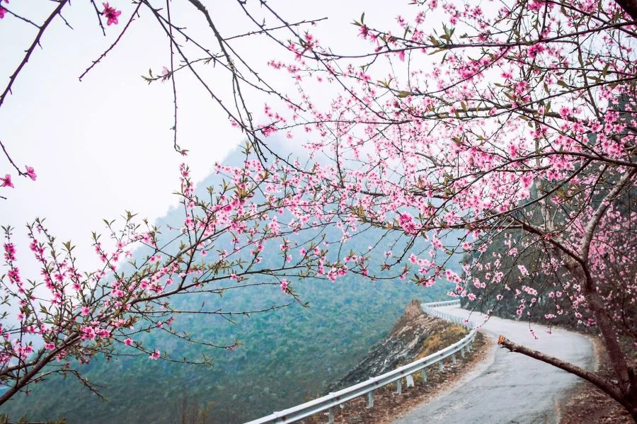Một góc nhỏ xinh đẹp tại Hà Giang