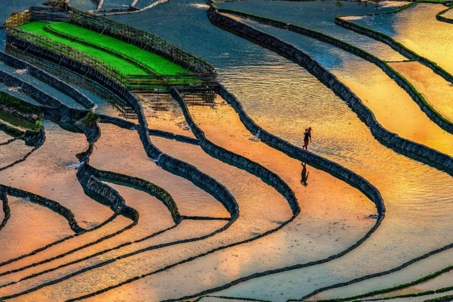 Hoàng Su Phì mùa nước đổ đẹp đến nao lòng