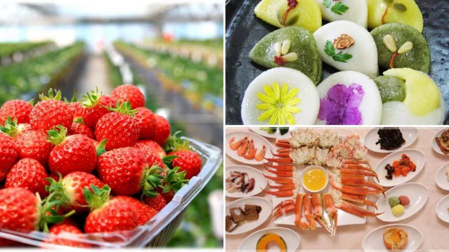 Khám phá Hàn Quốc vào mùa xuân là cơ hội để thưởng thức nền ẩm thực phong phú và hấp dẫn