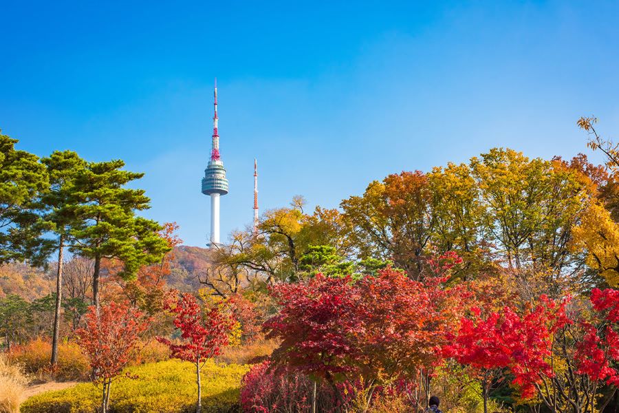 Mọi ngõ ngách ở Seoul đều mang màu vàng lãng mạn đặc trưng của mùa thu