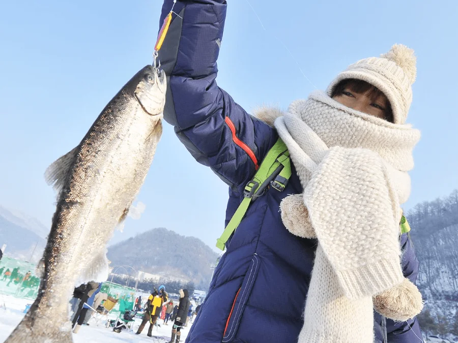 Đến với lễ hội câu cá Pyeongchang, bạn sẽ có cơ hội trải nghiệm cảm giác câu cá hồi đầy thú vị