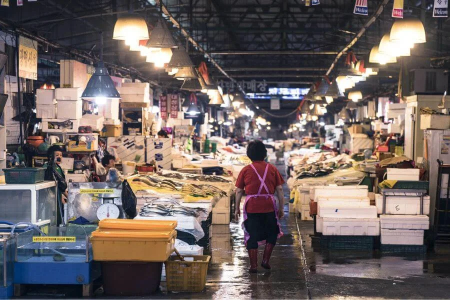 Bạn sẽ được thưởng thức những món hải sản tươi ngon nhất ngay tại chỗ, một trải nghiệm ẩm thực vô cùng tuyệt vời