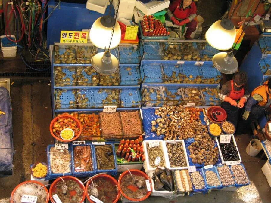Chợ Noryangjin là chợ đầu mối hải sản lâu đời và lớn nhất Hàn Quốc, một điểm đến không thể bỏ qua cho những ai yêu thích hải sản tươi sốn