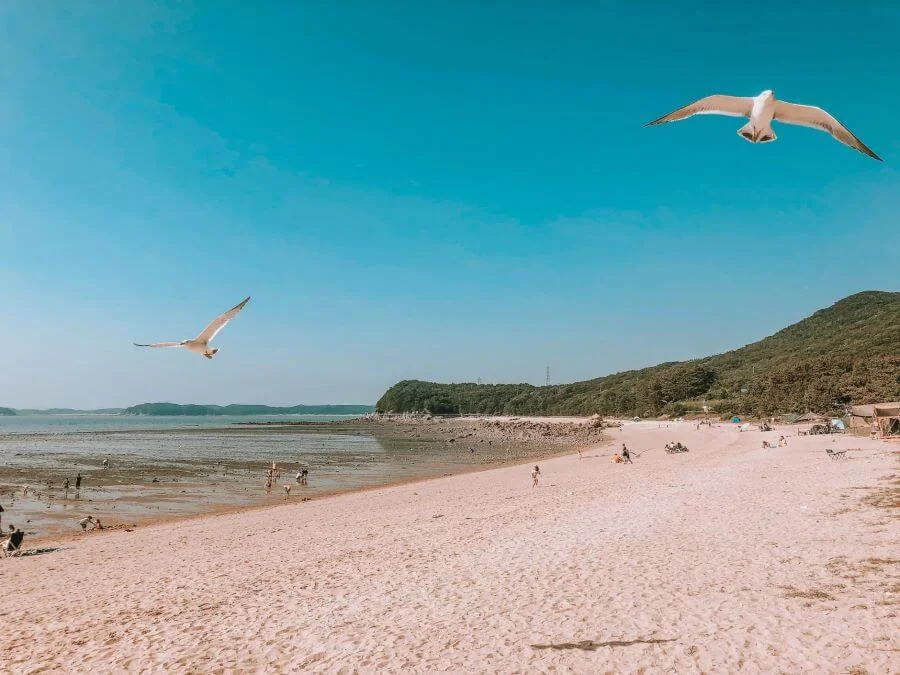 Với vẻ đẹp thiên nhiên đa dạng, đảo Muuido là một điểm đến không thể bỏ qua trong hành trình khám phá Hàn Quốc
