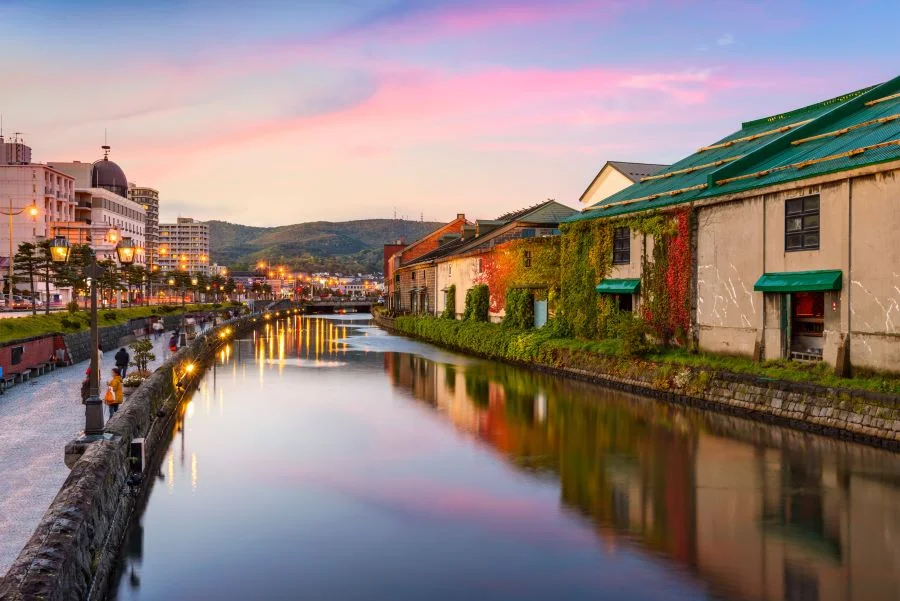 Hokkaido mùa hè - Bức tranh rực rỡ giữa lòng nước Nhật