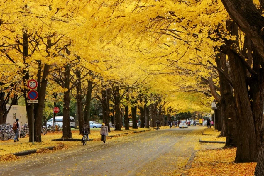 Ẩn mình giữa vẻ đẹp hùng vĩ của Hokkaido là một kỳ quan thiên nhiên ít người biết đến, nhưng lại vô cùng quyến rũ