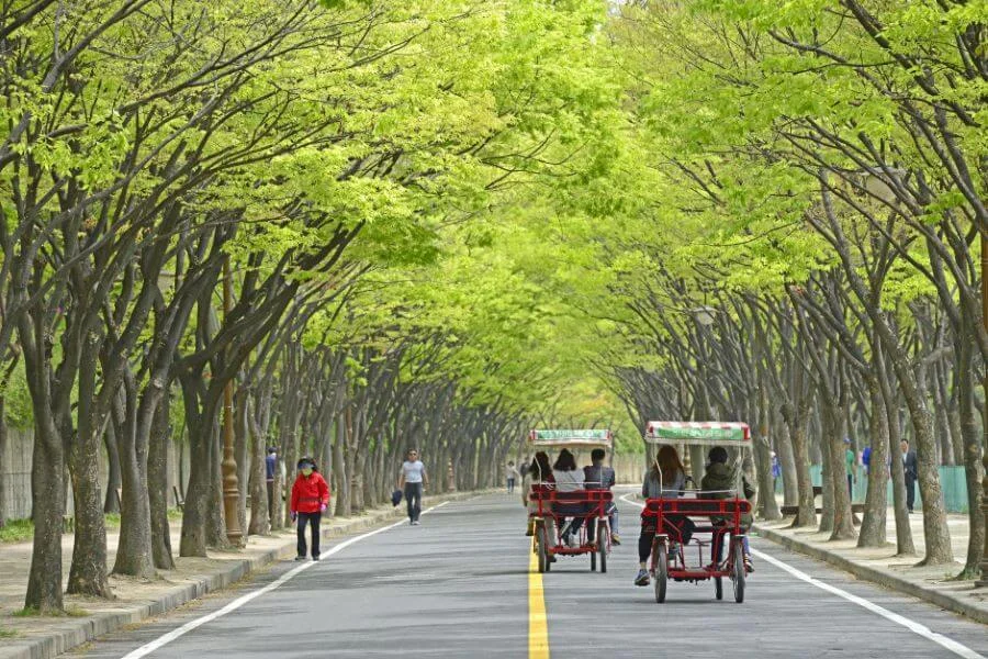 Công viên Incheon mang đến không gian thư giãn tuyệt vời, giúp bạn hòa mình vào thiên nhiên và tận hưởng bầu không khí trong lành
