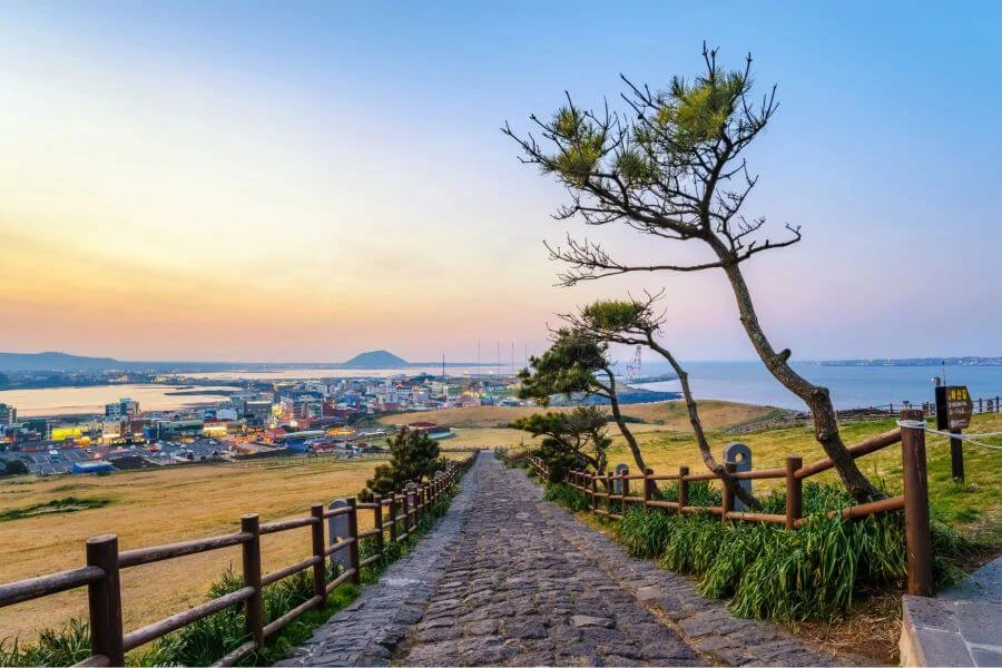 Seongsan Ilchulbong là một trong những biểu tượng của đảo Jeju mà bạn không nên bỏ qua