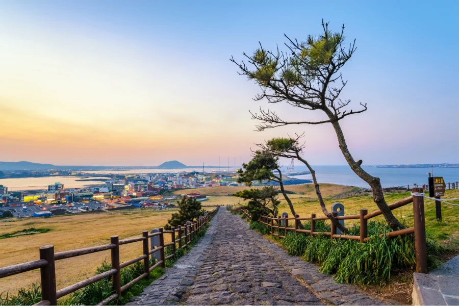Seongsan Ilchulbong là một điểm đến thu hút du khách bởi vẻ đẹp hùng vĩ và những trải nghiệm thú vị
