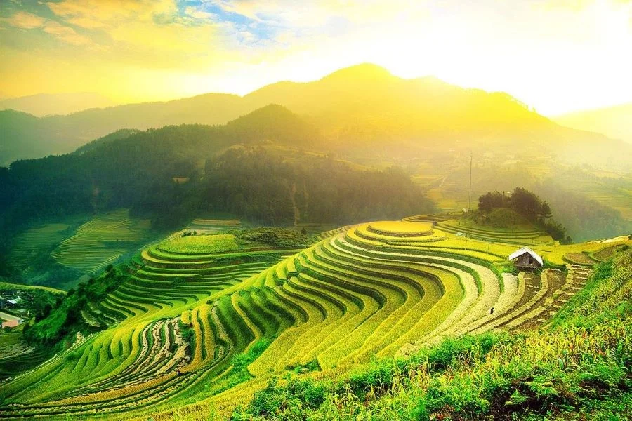 Hình ảnh mùa hè đẹp, mát mẻ, tươi mới và tràn đầy năng lượng