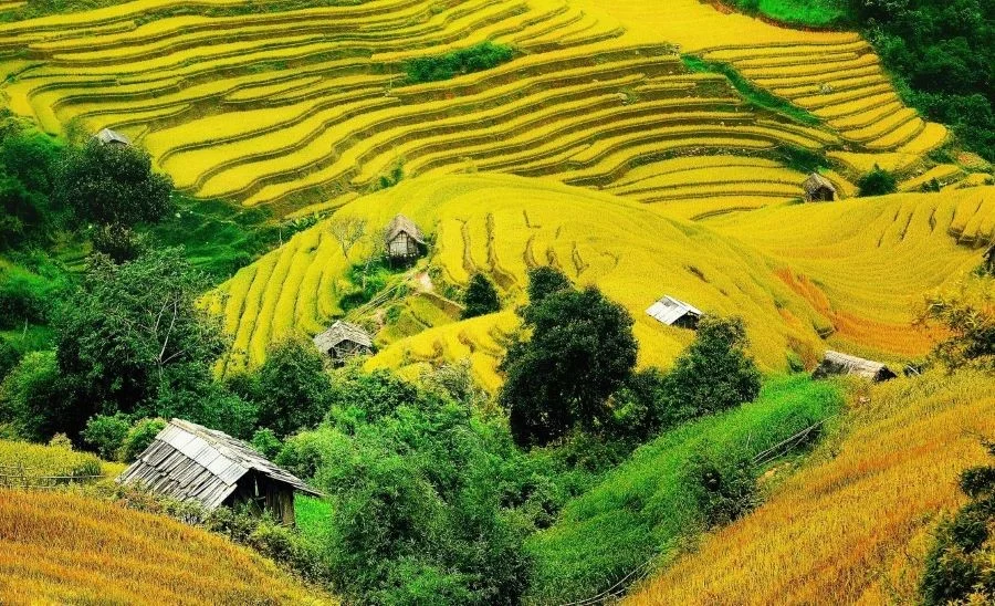 Ngắm mùa thu lung linh sắc màu ở miền Bắc nước ta