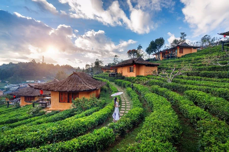 Khung cảnh làng quê yên bình tại Thái Lan