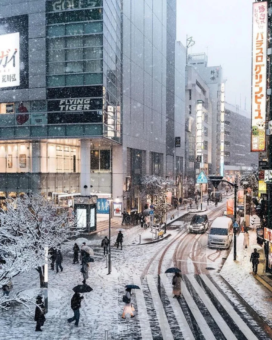 Tokyo mùa đông khoác lên mình một tấm áo trắng tinh khôi, tạo nên một khung cảnh lãng mạn