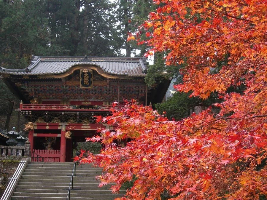 Thành cổ Nikko được UNESCO công nhận là di sản văn hóa thế giới