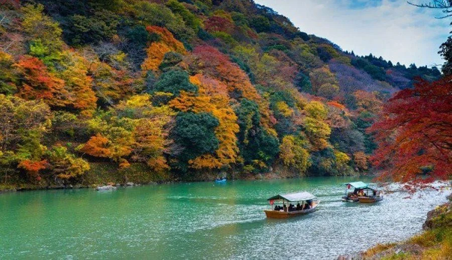 Những chiếc thuyền đang chở các du khách đi ngắm cảnh trên sông Hozu
