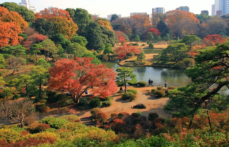 Công viên Rikugi-en (Tokyo) với khung cảnh nên thơ, lãng mạn