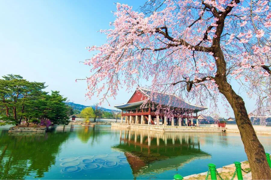Việc dạo bộ trong các cung điện không chỉ là một trải nghiệm miễn phí mà còn là cơ hội tuyệt vời để bạn hiểu thêm về đất nước Hàn Quốc