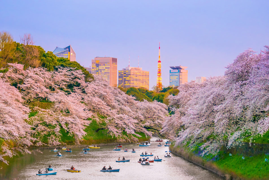 Công viên Ueno là một trong những công viên lâu đời nhất và lớn nhất tại Tokyo