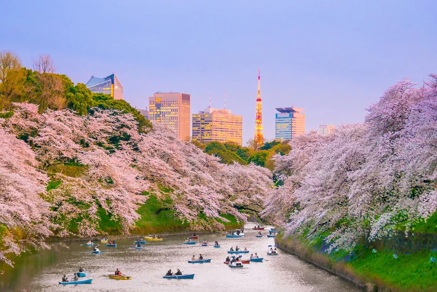 Công viên Ueno là một trong những công viên lâu đời nhất và lớn nhất tại Tokyo
