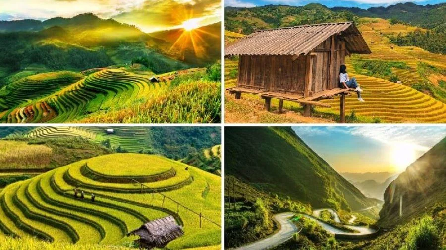 Khung cảnh cực “tình” nhìn từ các nếp nhà trên cao nhìn xuống cánh đồng Mù Cang Chải