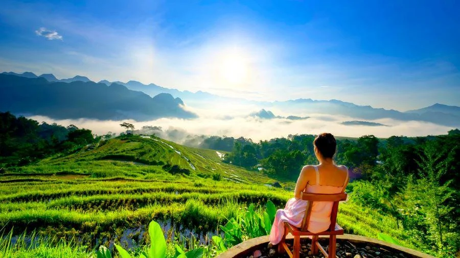 Những thửa ruộng xanh mơn mởn là đặc trưng của Pù Luông