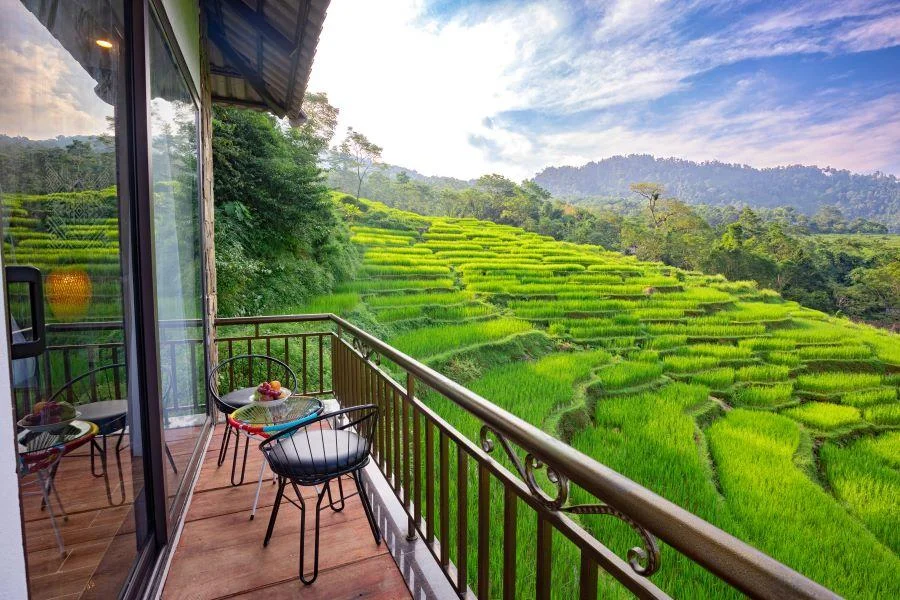 Đến Pù Luông, đâu đâu cũng nhìn thấy những nếp nhà bao quanh cánh đồng lúa