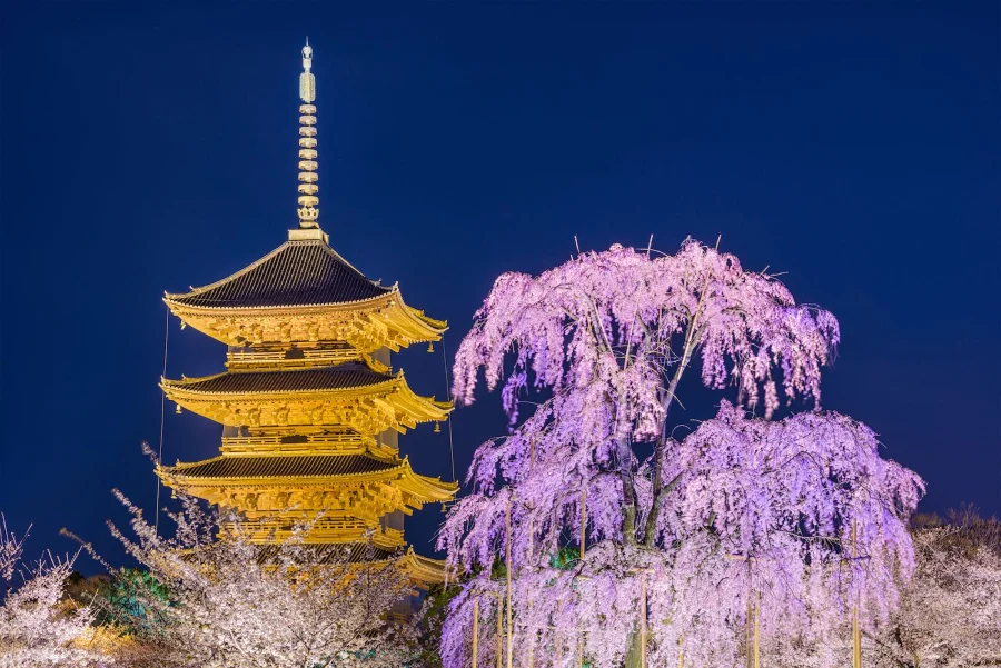 Tọa lạc tại cố đô Kyoto tráng lệ, Chùa To-ji như một viên ngọc quý tỏa sáng giữa lòng di sản văn hóa Nhật Bản