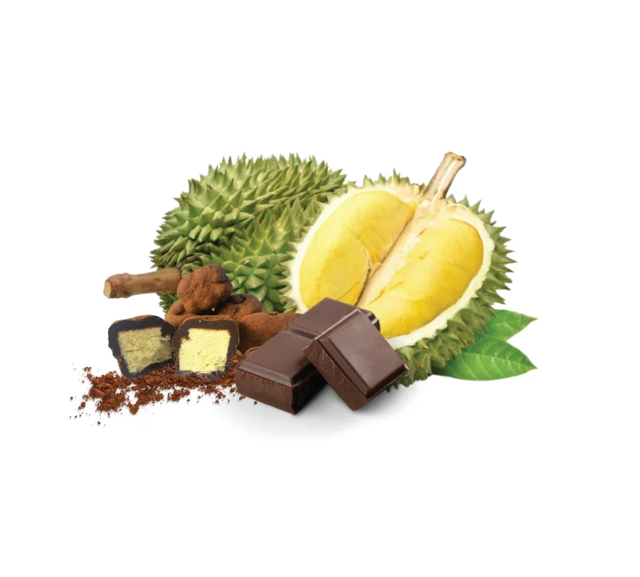 Socola sầu riêng là sự kết hợp táo bạo giữa vị ngọt ngào, béo ngậy của socola với hương vị nồng nàn, đặc trưng của sầu riêng