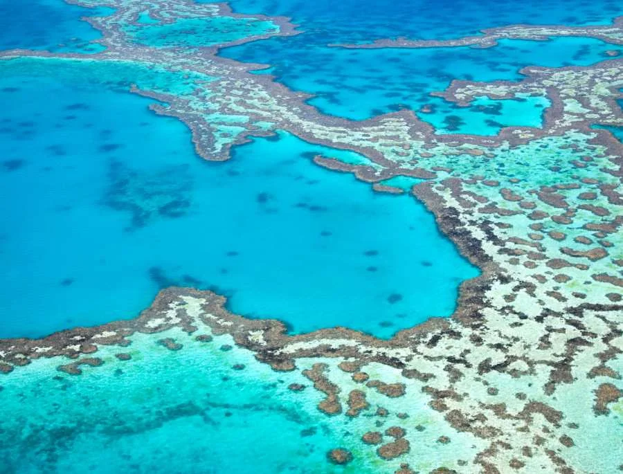 Toàn cảnh thiên đường Great Barrier Reef vào mùa hè vô cùng xinh đẹp