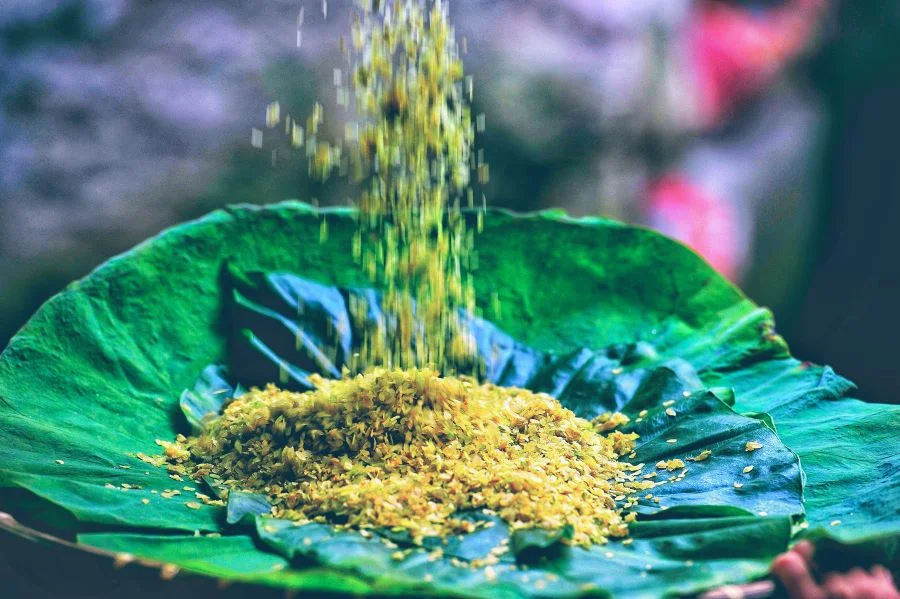 Dạo quanh con đường đầy đặc sản mùa thu Hà Nội