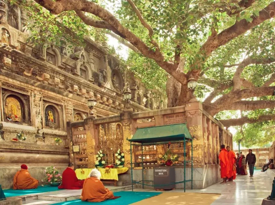 Bodh Gaya - nơi Đức Phật đã thiền định trong vòng 49 ngày ngay dưới gốc cây bồ đề