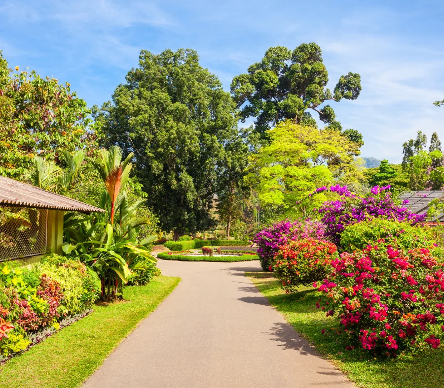 Vườn thực vật Royal Botanic Gardens sở hữu khung cảnh vô cùng bình yên