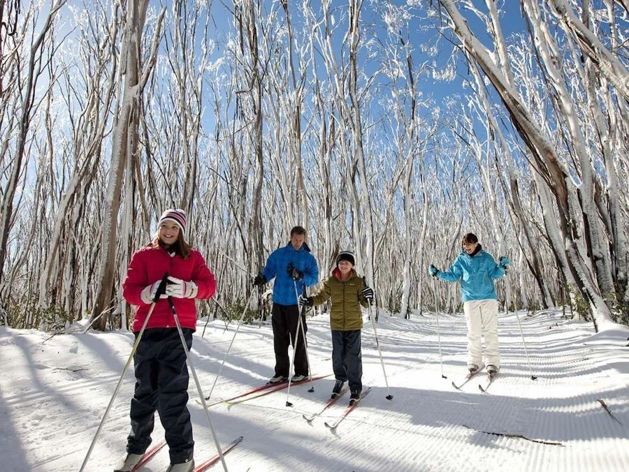 Không thể bỏ qua cơ hội trượt tuyết tại Blue Mountains