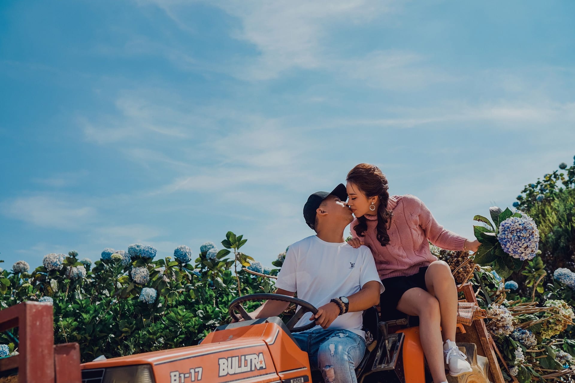 Thung lũng hoa cẩm tú cầu đẹp như mơ giữa Đà Lạt