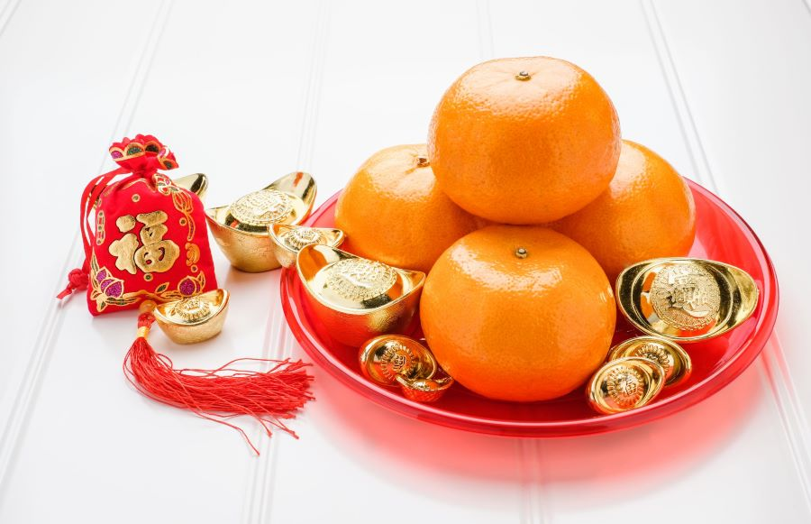 Quất - loại trái cây có thể mang đến may mắn và tiền tài trong năm mới