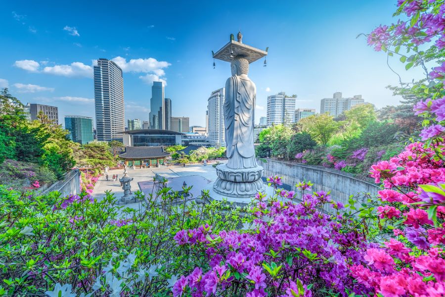 Đền Bongeunsa - điểm đến lý tưởng dành cho những ai muốn rũ bỏ hết mọi muộn phiền, lo toan trong cuộc sống