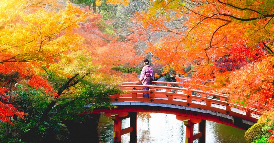 Tokyo khoác lên mình bộ áo choàng rực rỡ của mùa thu, níu chân du khách bởi vẻ đẹp cực kỳ lãng mạn và say đắm lòng người